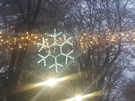 46782229_2297654140463563_5635722198795681792_n