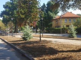 20180906_103426