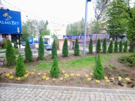 IMG-2b848e575e7a69b1847c51ce604e987c-V